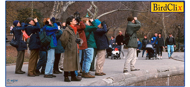 <Picture by Wolf Peter Weber of a group of bird watchers in NY's Central Park>