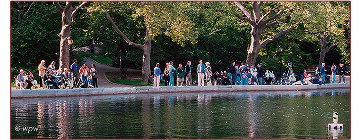 <Picture by Wolf Peter Weber of quite an assembly of birders in NY's Central Park>